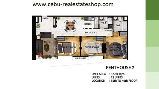 penthouse unit j tower condominium for sale mandaue city