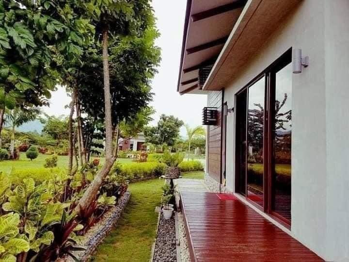 cebu beach front house and lot for sale - 10