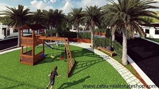 azienda azaliyah -06