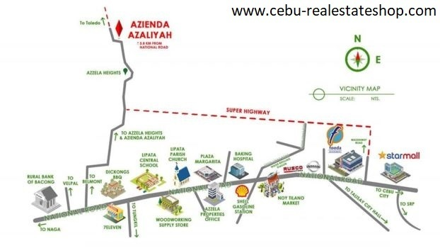 azienda azaliyah -12