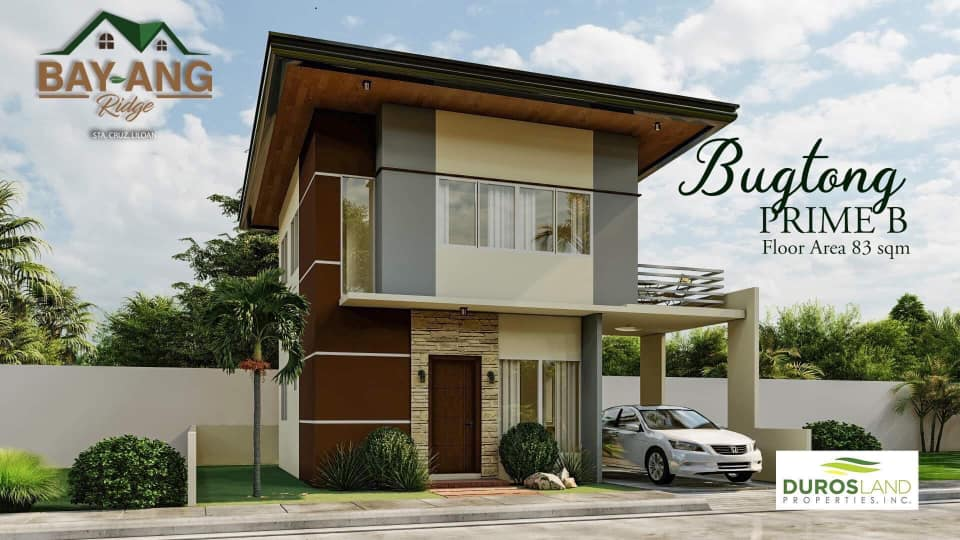 bay ang ridge -11