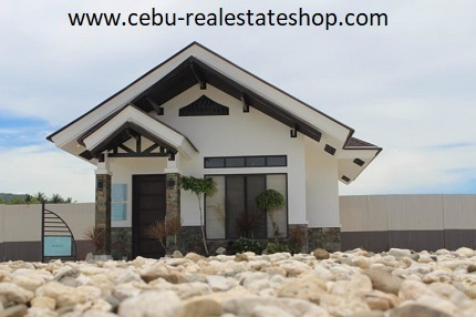 argao royal palms myrtle for sale