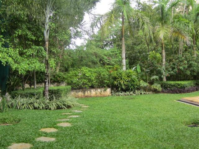house and lot with swimming pool for rent maria luisa cebu - 07