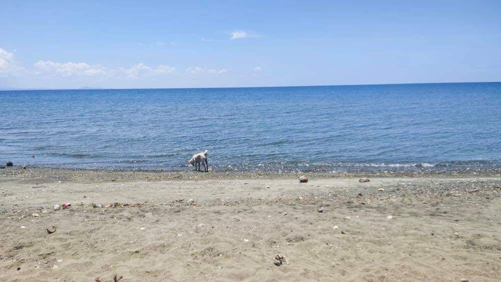 affordable beach -01