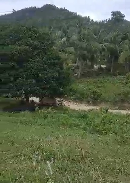 affordable lot -02