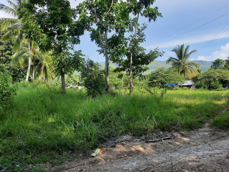 affordable lot barili -03