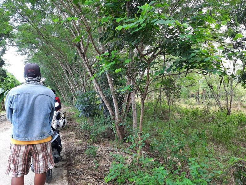 affordable lot barili -05