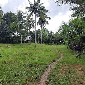 Affordable Land for Sale - Bolocboloc, Barili, Cebu