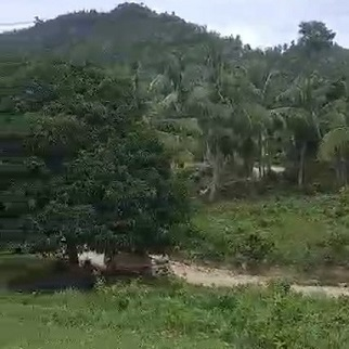 300/sqm Affordable Lot - Liburon, San Fernando for sale in Cebu, Philippines