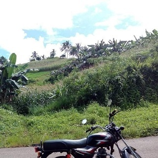 66/sqm Land for Sale - Agsuwao, Catmon, Cebu