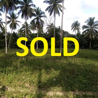 200/sqm Land for Sale - Mountain Alambijud, Argao
