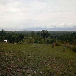 250/sqm Land for Sale - Candabong, Alcantara