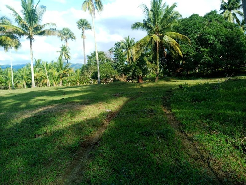 land properties for sale in aloguinsan cebu - 02