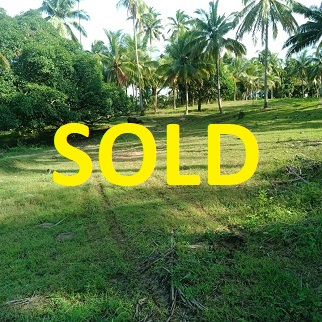 450/sqm Along Hiway - Kawasan, Aloguinsan for sale in Cebu, Philippines