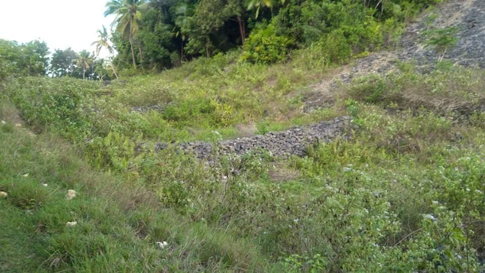 argao cebu properties -05