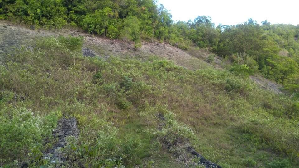 argao cebu properties -06
