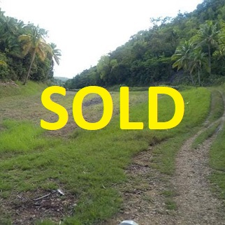 160/sqm Land for Sale - Taloot, Argao, Cebu