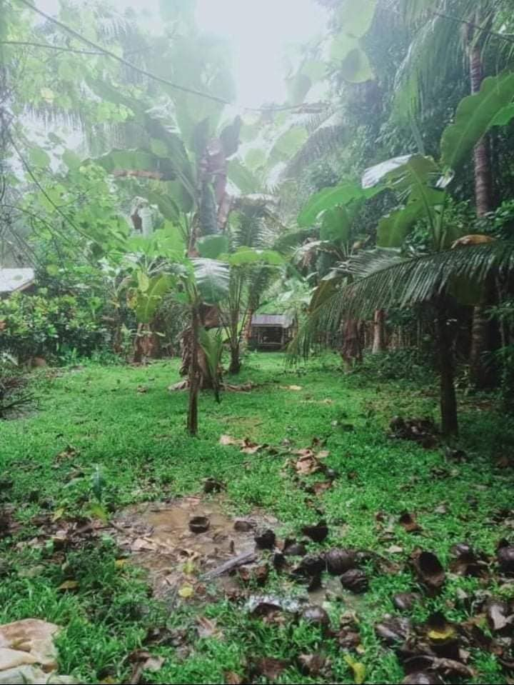 asturias cebu properties -03