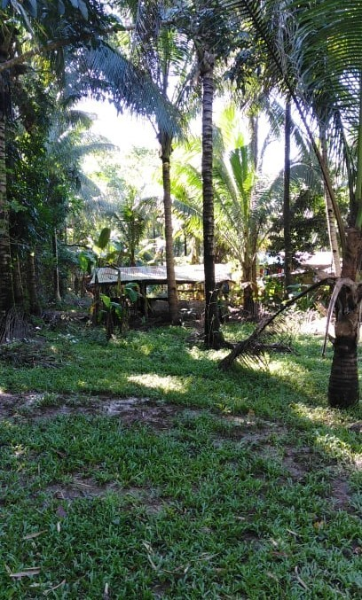 asturias cebu properties -04