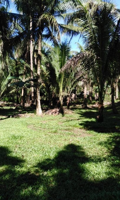 asturias cebu properties -05