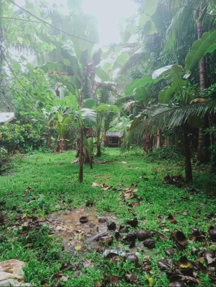 asturias cebu properties -06