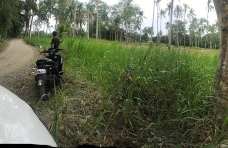 balamban properties -01