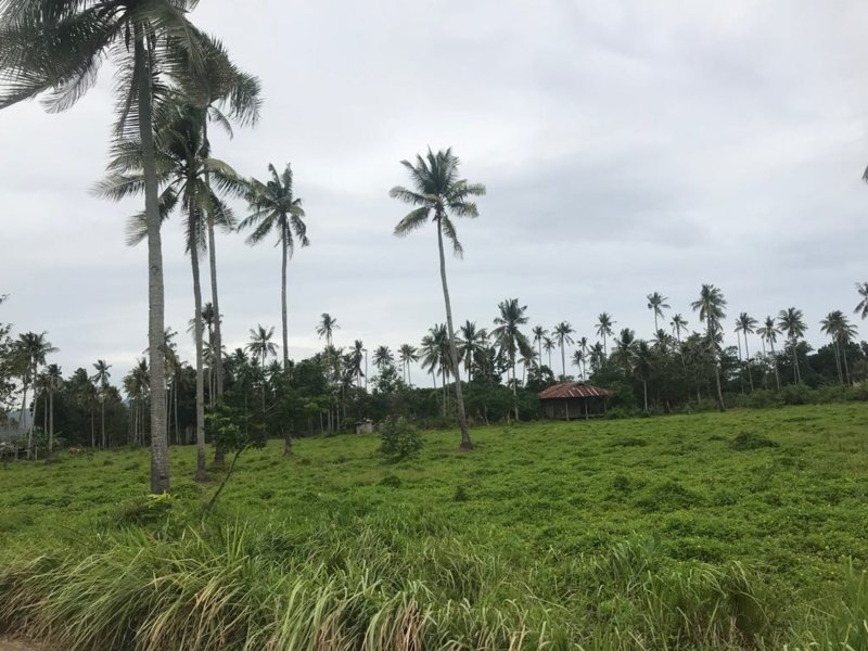balamban properties -03