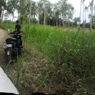 Properties near Tsuneishi - Balamban, Cebu, Philippines for sale in Cebu, Philippines