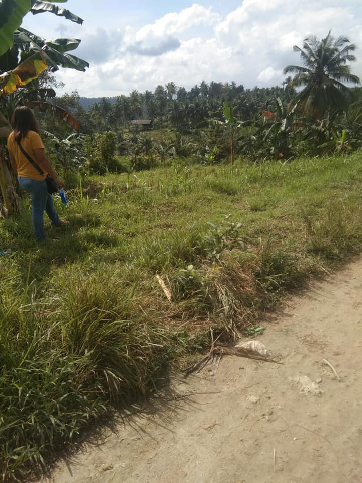 balao -03