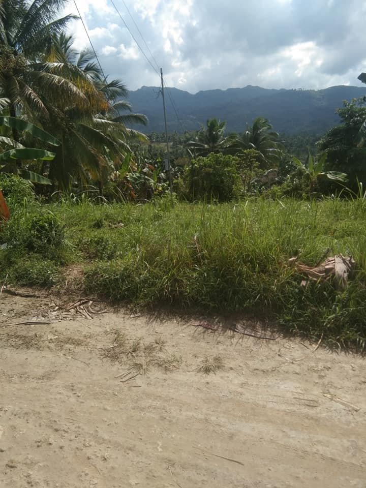 balao -04