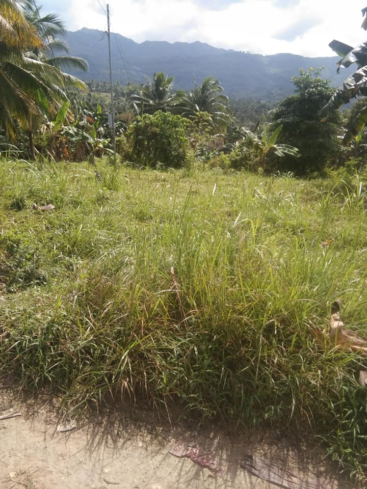 balao -05