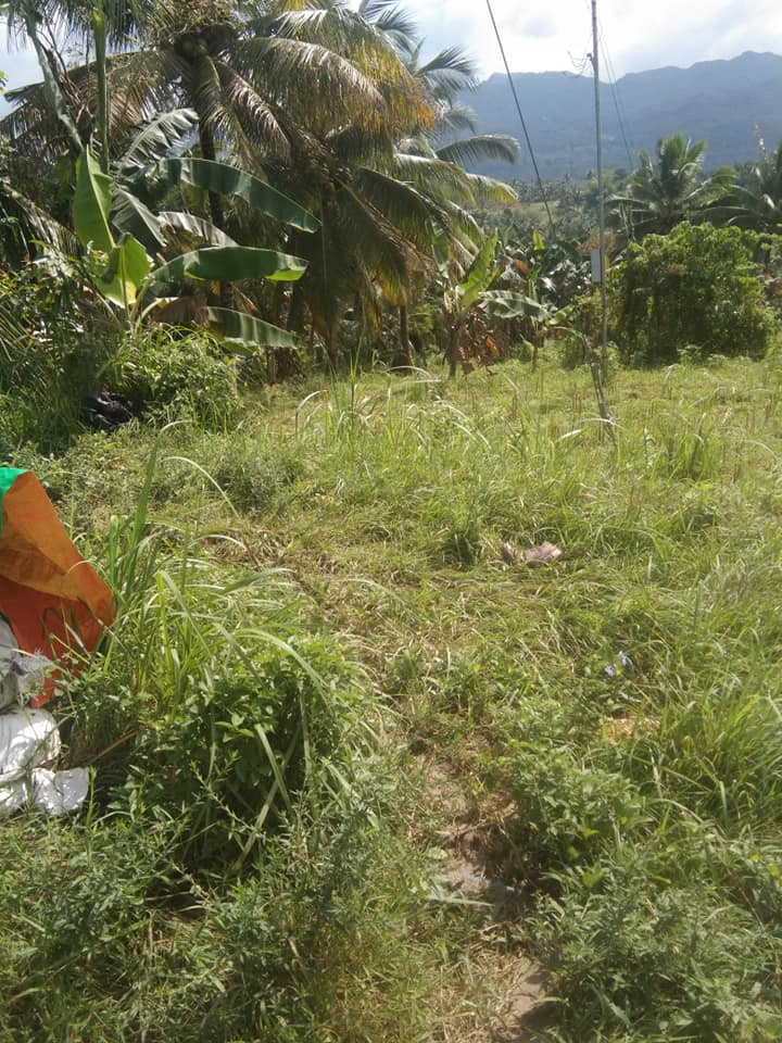 balao -06