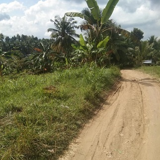 250/sqm Land for Sale - Balao, Barili, Cebu