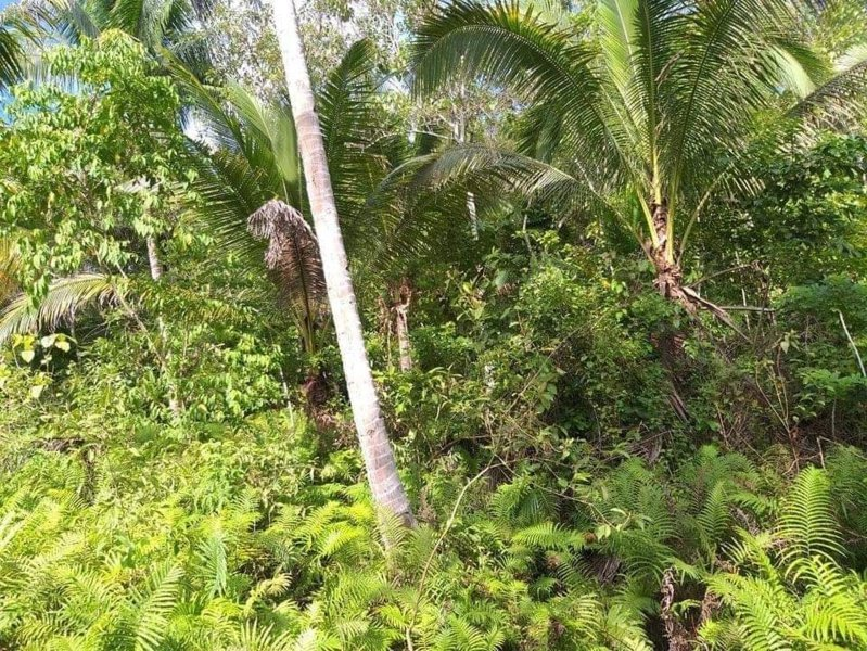 balilihan bohol properties -01
