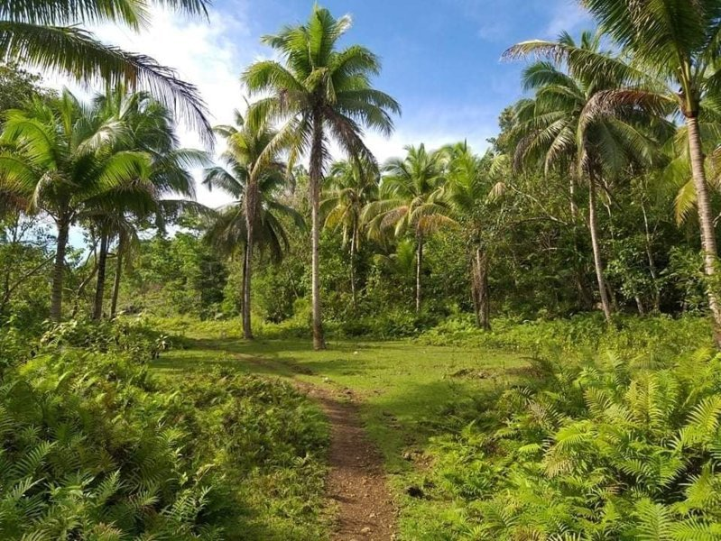 balilihan bohol properties -02