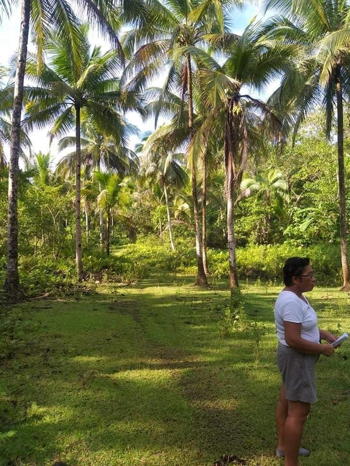 balilihan bohol properties -04