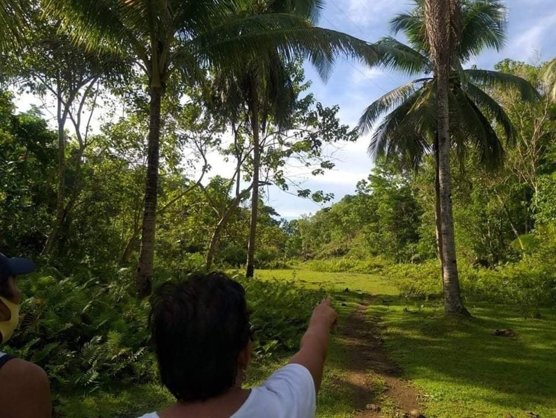 balilihan bohol properties -06