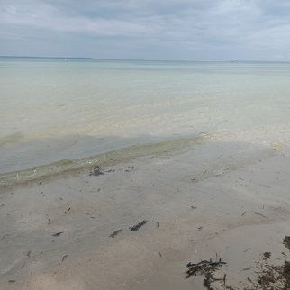 600/sqm Beach Lot for Sale - Bantayan Island, Cebu