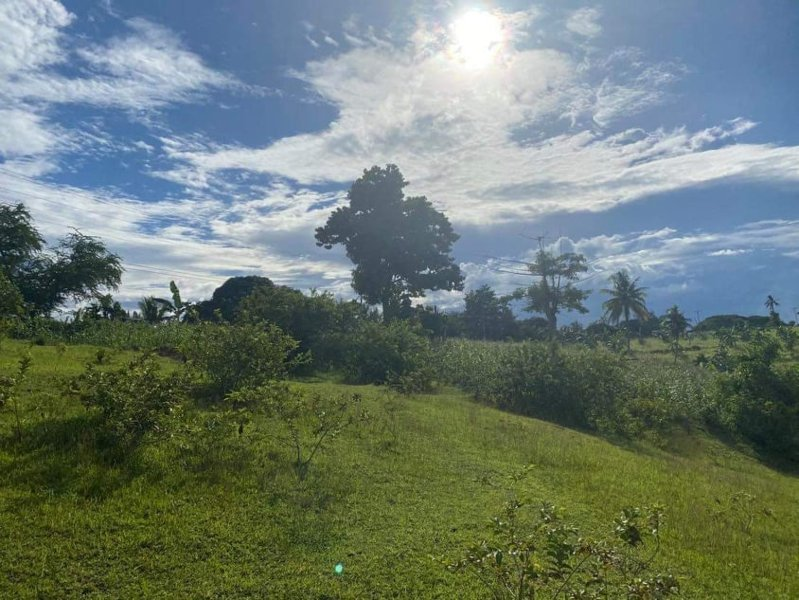 lot for sale barili cebu -01