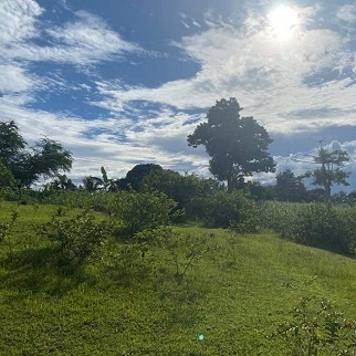 500/sqm Properties - Barili, Cebu, Philippines for sale in Cebu, Philippines