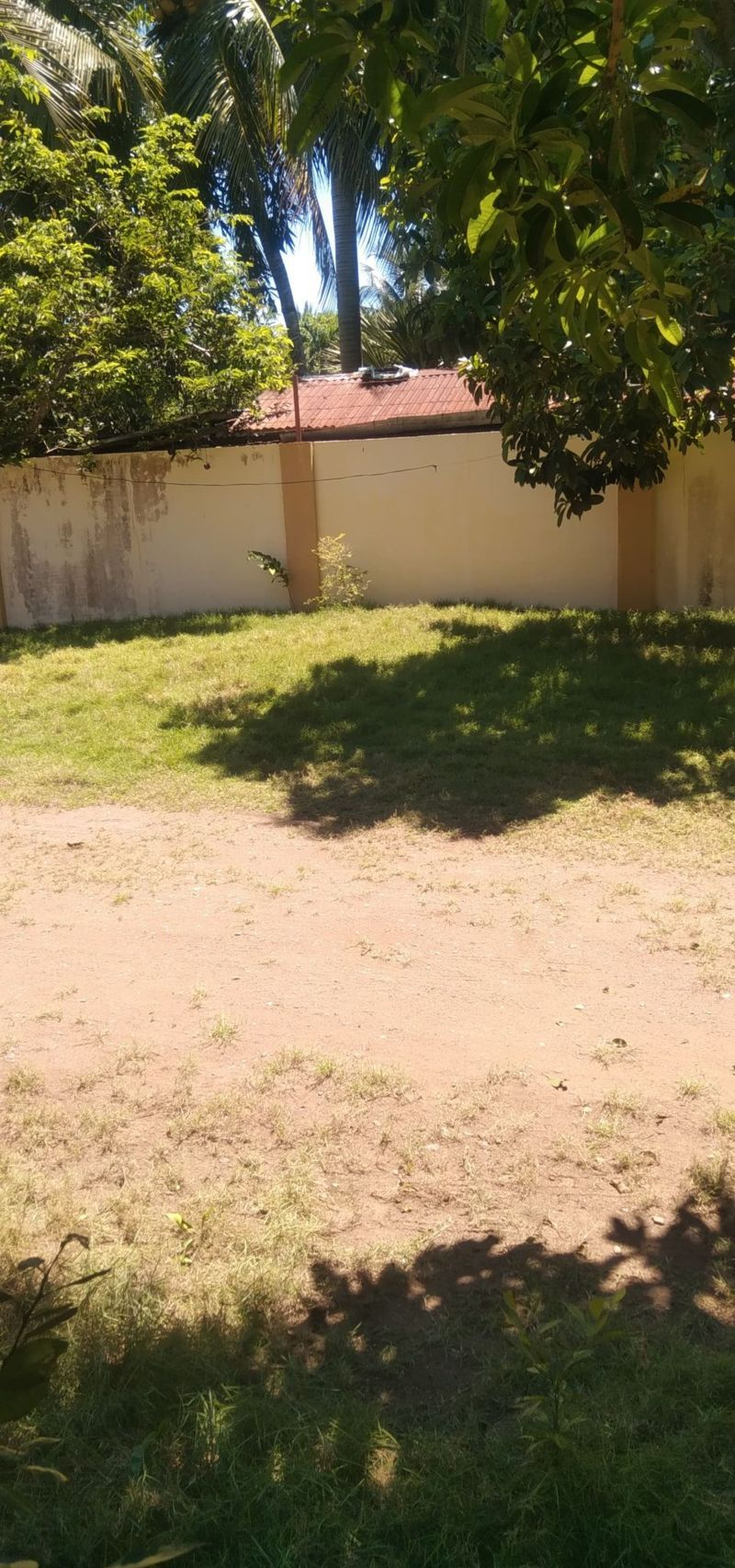 bato -07