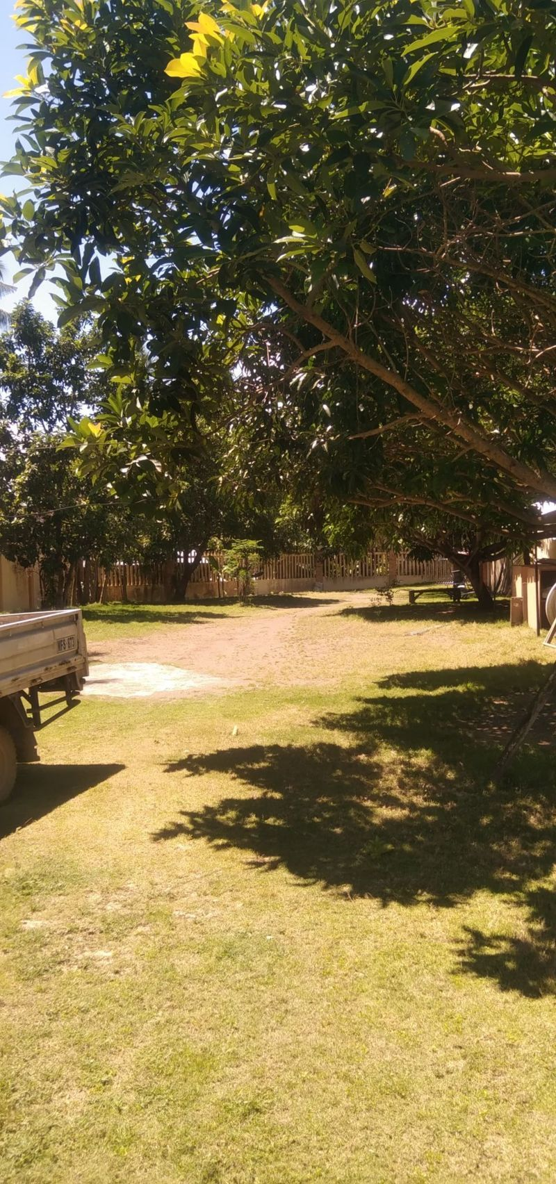 bato -08