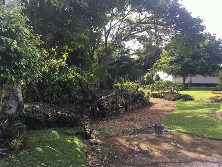 beach house for sale in daanbatayan cebu - 04