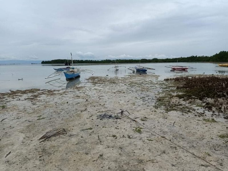 beachfront lot panglao bohol -01