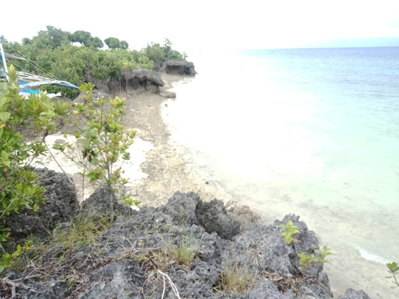 moalboal beach lot for sale -01