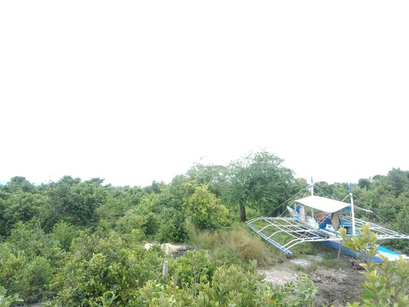 moalboal beach lot for sale -03