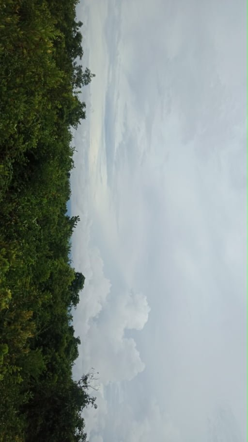 moalboal beach lot for sale -05