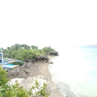 2,000/sqm Beachlot for Sale - Moalboal, Cebu, Philippines