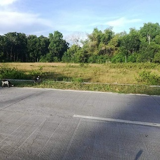 Land for Sale - Biking, Dauis, Bohol
