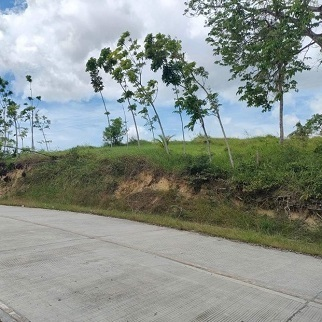 600/sqm Land for Sale - Malingin, Bogo City, Cebu